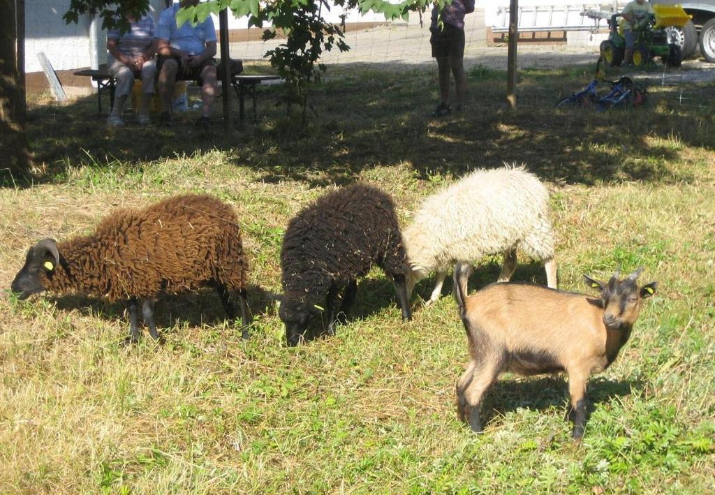Gasthof Zur Krone Denkendorf  Dış mekan fotoğraf